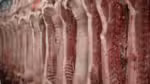 A Conab projeta uma produção de 31,57 milhões de toneladas de carne para o ano de 2025