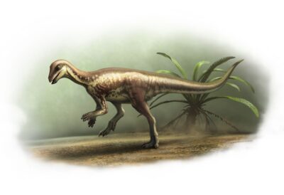Blog post image