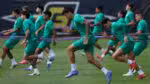 Palmeiras: o time previsto para a primeira partida contra o Manchester City no Mundial de Clubes