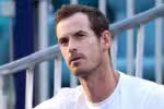 MIAMI GARDENS, FLORIDA - MARCH 27: Andy Murray of Great Britain watches Novak Djokovic of Serbia play Sebastian Korda of the United States during the Miami Open Presented by Itau at Hard Rock Stadium on March 27, 2025 in Miami Gardens, Florida. Matthew Stockman/Getty Images/AFP (Photo by MATTHEW STOCKMAN / GETTY IMAGES NORTH AMERICA / Getty Images via AFP)