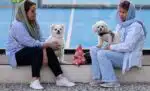 Iranians sit with their dogs in a park in Tehran on June 8, 2025. Iranian authorities have expanded a ban on walking dogs in public to multiple cities nationwide, citing public health, social order and safety concerns, domestic media reported on June 8. Owning and walking dogs has been a contentious topic since the 1979 Islamic revolution in Iran, though there is no law outrightly banning dog ownership. (Photo by ATTA KENARE / AFP)