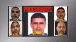 A Bahia busca cinco criminosos procurados no Rio de Janeiro; confira a lista