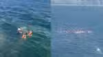 Corpo de Bombeiros resgata 73 atletas de stand up paddle após tempestade no rio