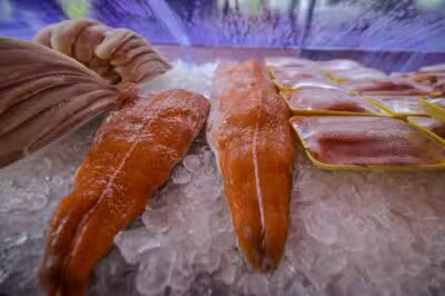 SP - SÃO JOSÉ/PÁSCOA/PESCADOS - GERAL - Vendas de peixes e frutos do mar em feira livre do Jardim São Dimas, na região central de São José dos Campos, no interior de São Paulo, nesta quarta-feira, 16 de abril de 2025. Com a proximidade do feriado de Páscoa, aumenta a busca por sardinha, bacalhau, cação, salmão, camarão e lula. 16/04/2025 - Foto: LUCAS LACAZ RUIZ/ESTADÃO CONTEÚDO