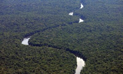 Brasil, Vilhena, RO. 14/12/07. Vista aérea da reserva indígena Roosevelt, onde habita a tribo Cinta Larga. - Crédito:EVELSON DE FREITAS/ESTADÃO CONTEÚDO/AE/Codigo imagem:24842