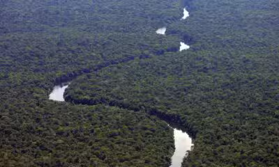 Brasil, Vilhena, RO. 14/12/07. Vista aérea da reserva indígena Roosevelt, onde habita a tribo Cinta Larga. - Crédito:EVELSON DE FREITAS/ESTADÃO CONTEÚDO/AE/Codigo imagem:24842