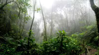 Blog post image