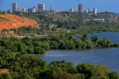 Imagem do post relacionado, leia tambem!