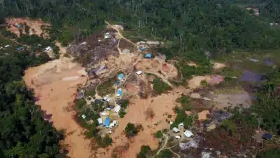 Autoridades recuperaram cerca de 140 kg de ouro nas terras indígenas Yanomami Autoridades recuperaram cerca de 140 kg de ouro nas terras indígenas Yanomami