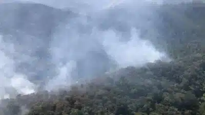 Seca atinge SP: 7 focos de incêndio em áreas de vegetação são detectados