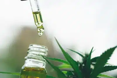 A regulamentação da cannabis pode resultar em arrecadação de R$ 5,76 bilhões até o ano de 2030