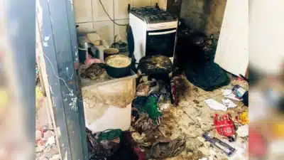 Crianças abandonadas são encontradas em residências com infestação de roedores e insetos Crianças abandonadas são encontradas em residências com infestação de roedores e insetos