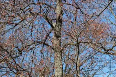 Imagem do post relacionado, leia tambem!