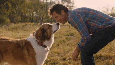 “Juntos para Sempre”: 4 curiosidades do filme que vai te fazer chorar “Juntos para Sempre”: 4 curiosidades do filme que vai te fazer chorar