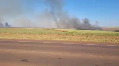 Em SP, período de estiagem provoca 9 focos de incêndio identificados em todo o estado