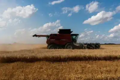Departamento de Agricultura dos EUA avalia apoio financeiro a produtores com dificuldades em negociações Departamento de Agricultura dos EUA avalia apoio financeiro a produtores com dificuldades em negociações