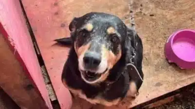 Imagem do post relacionado, leia tambem! Imagem do post relacionado, leia tambem!