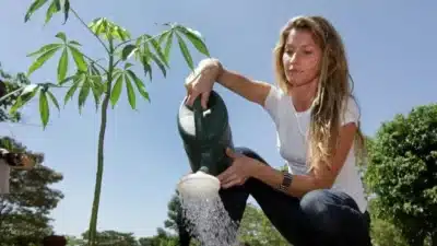 Imagem do post relacionado, leia tambem! Imagem do post relacionado, leia tambem!