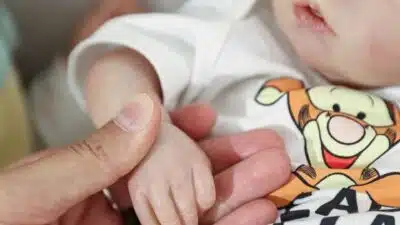 Imagem do post relacionado, leia tambem! Imagem do post relacionado, leia tambem!