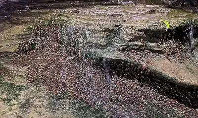 Imagem do post relacionado, leia tambem!