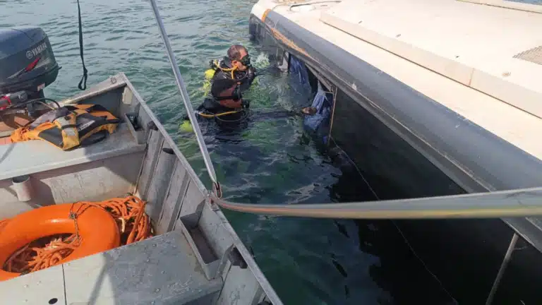 Ônibus com 50 passageiros cai no Rio Tocantins e motorista morre afogado em tragédia