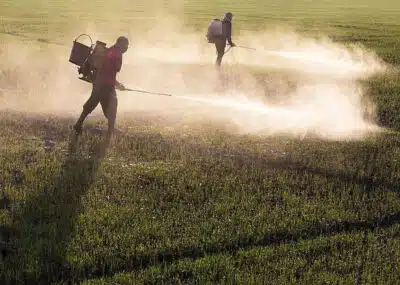 Imagem do post relacionado, leia tambem! Imagem do post relacionado, leia tambem!