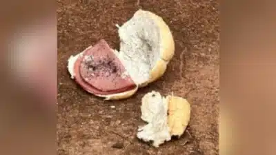 Imagem do post relacionado, leia tambem!