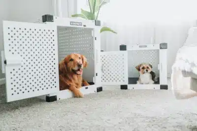 Imagem do post relacionado, leia tambem! Imagem do post relacionado, leia tambem!