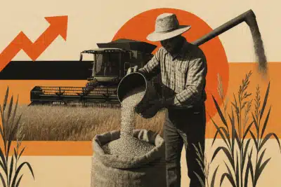 Imagem do post relacionado, leia tambem! Imagem do post relacionado, leia tambem!