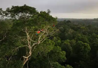 Imagem do post relacionado, leia tambem! Imagem do post relacionado, leia tambem!
