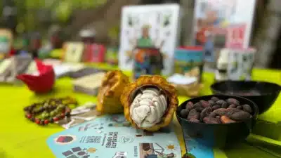 Imagem do post relacionado, leia tambem!