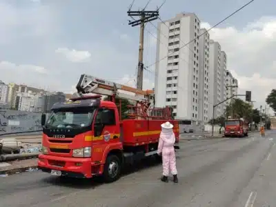 Imagem do post relacionado, leia tambem!