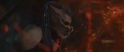 Imagem do post relacionado, leia tambem!