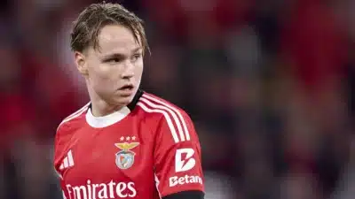 Imagem do post relacionado, leia tambem!