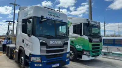 Imagem do post relacionado, leia tambem!