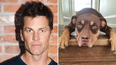 Imagem do post relacionado, leia tambem!