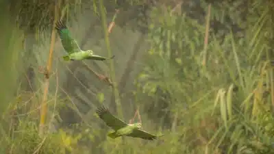 Imagem do post relacionado, leia tambem!