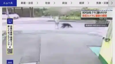 Imagem do post relacionado, leia tambem!