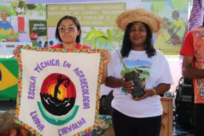 Imagem do post relacionado, leia tambem!