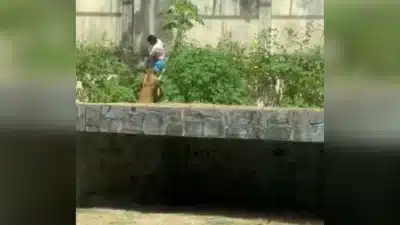 Imagem do post relacionado, leia tambem!