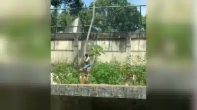 Imagem do post relacionado, leia tambem!