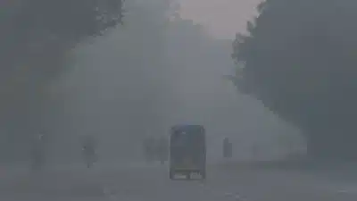 Imagem do post relacionado, leia tambem!