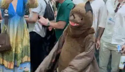 Imagem do post relacionado, leia tambem!