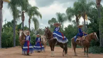 Imagem do post relacionado, leia tambem!