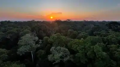 Imagem do post relacionado, leia tambem!