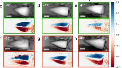 Imagem do post relacionado, leia tambem!