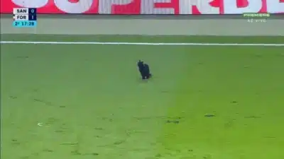 Imagem do post relacionado, leia tambem! Imagem do post relacionado, leia tambem!