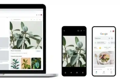 Imagem do post relacionado, leia tambem!