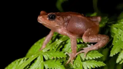 Imagem do post relacionado, leia tambem!