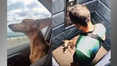 Imagem do post relacionado, leia tambem!